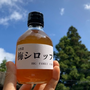 自然農 ビワの種 BIG FAMILY FARM (佐賀県産) 乾燥野菜通販 - たべると