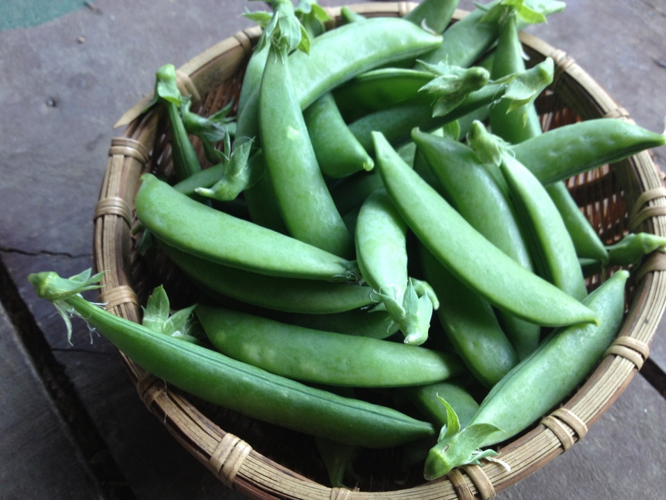 自然農 スナップエンドウ BIG FAMILY FARM (佐賀県産) 豆類通販