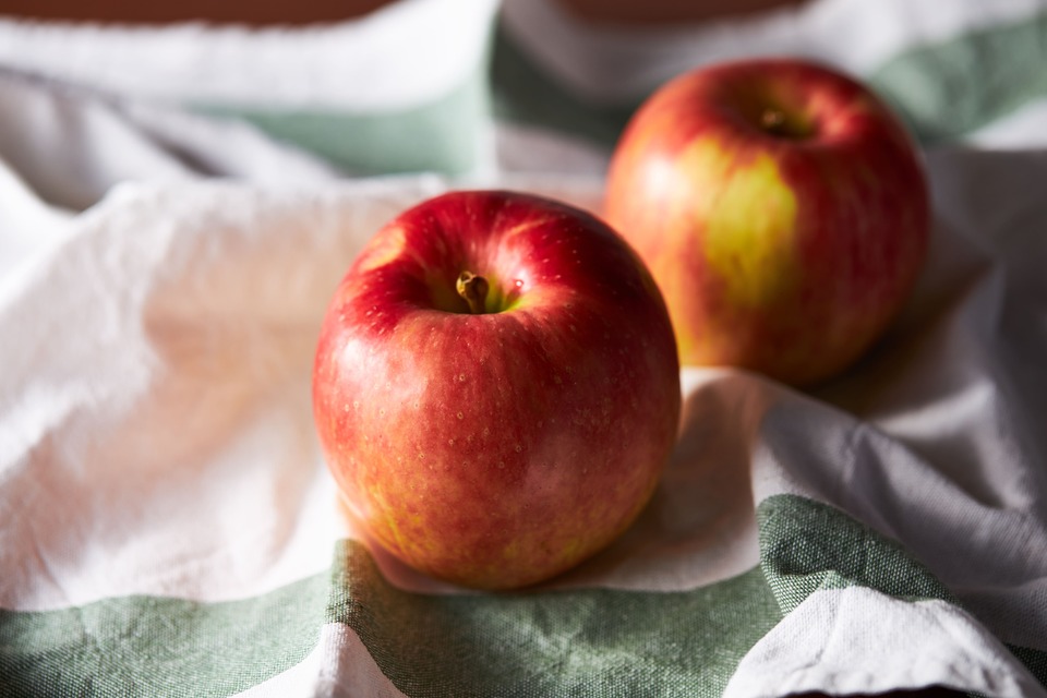 砂糖不使用無添加ドライフルーツ】仙台泉ヶ岳の麓、 根白石のりんご