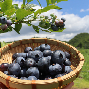 新着・再販売商品 | 無添加・有機無農薬のネット通販モール - たべると