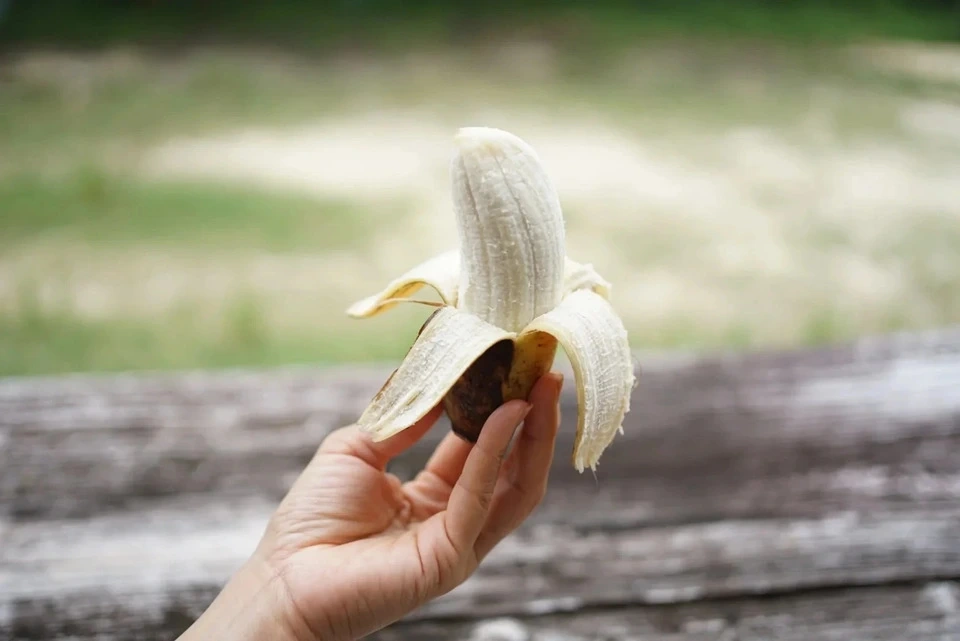 有機栽培＜アップルバナナプレミアム＞芳醇な甘さにもっちり食感