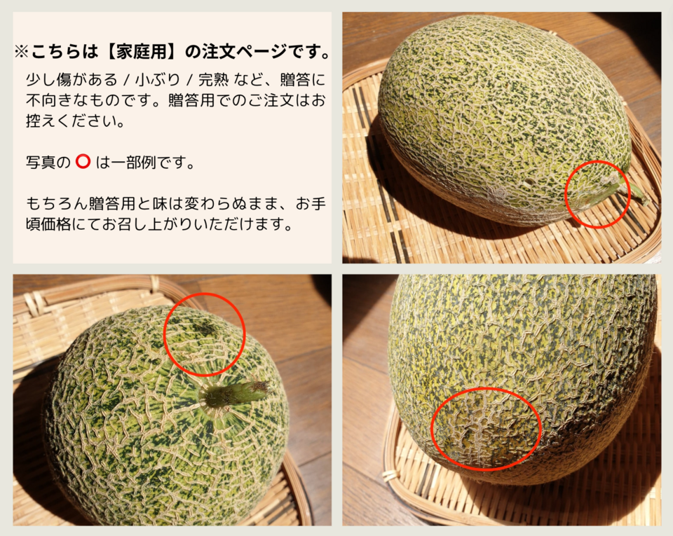 【家庭用】《最優秀賞受賞》有機栽培！日本で唯一のオリジナル・オーガニックメロン（傷あり・小さめ）