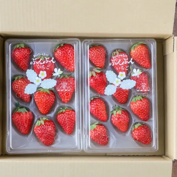 【専用枠】ポップン いちご バナナ 110g 4個入り 7151_L.jpg