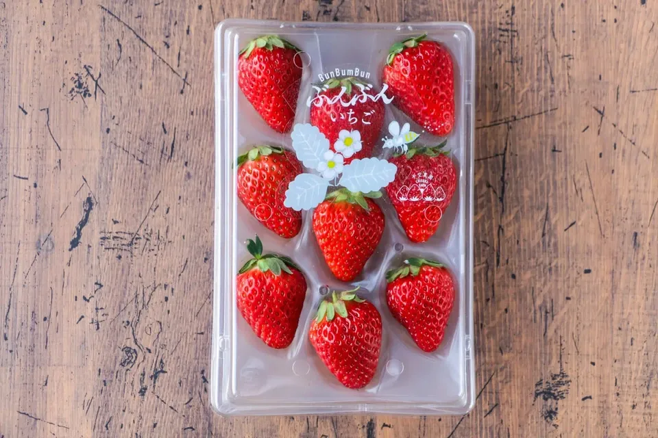 日本みつばちが飛び交う、ぶんぶんいちご（紅ほっぺ） 千空農園（ち