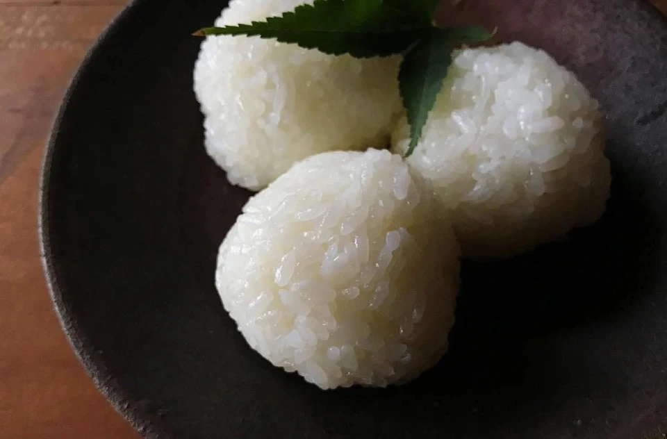 令和7年度産 / ヒノヒカリ 《白米》無農薬 無肥料