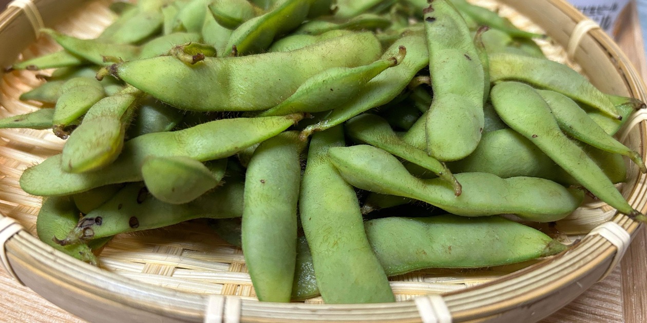 完売御礼 R8.7月再販予定】無農薬【数量限定】夏の黒枝豆 dohsakafarm