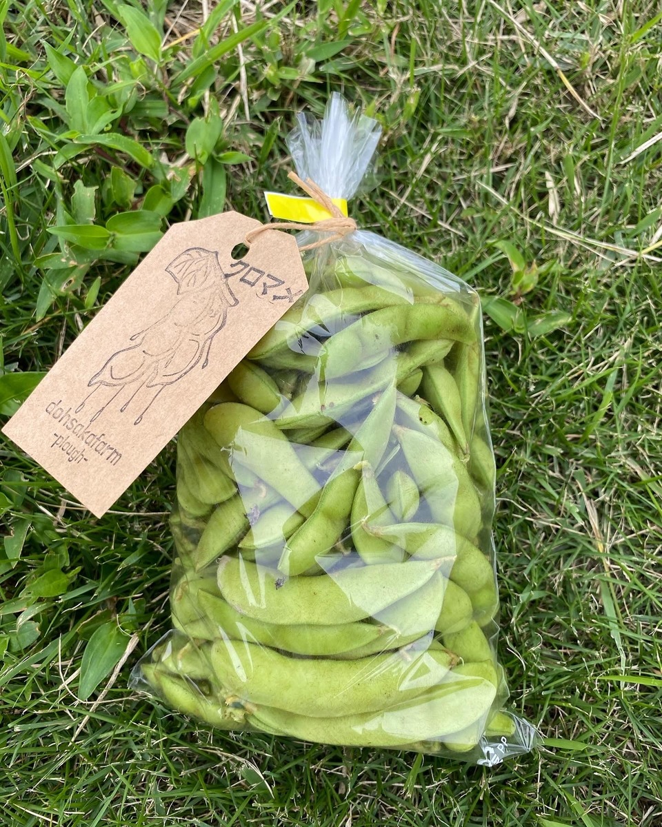 完売御礼 R8.7月再販予定】無農薬【数量限定】夏の黒枝豆 dohsakafarm