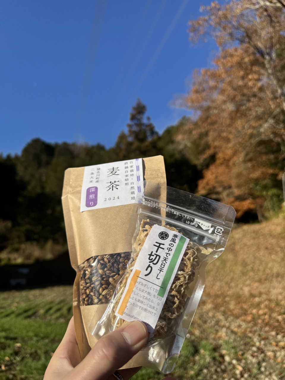 無農薬 旬の野菜セット2025-2026年【冬野菜】農家オススメセット/キャベツ・ブロッコリー・白菜・大根・人参など日常便利な野菜詰め合わせ