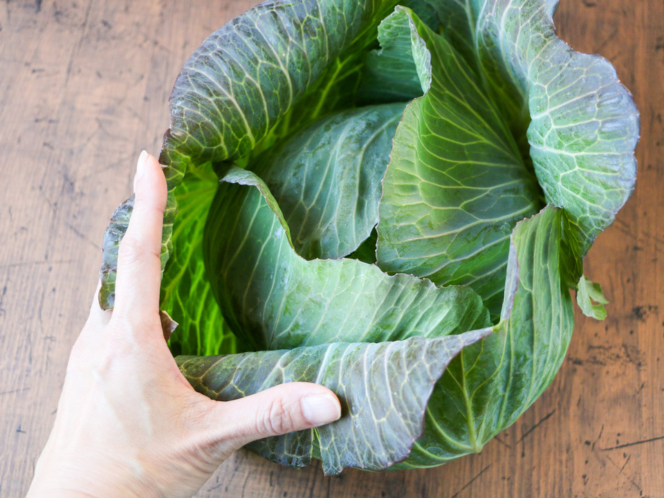 無農薬 旬の野菜セット2025-2026年【冬野菜】農家オススメセット/キャベツ・ブロッコリー・白菜・大根・人参など日常便利な野菜詰め合わせ