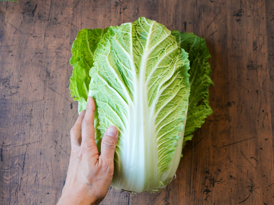 無農薬 旬の野菜セット2025-2026年【冬野菜】農家オススメセット/キャベツ・ブロッコリー・白菜・大根・人参など日常便利な野菜詰め合わせ