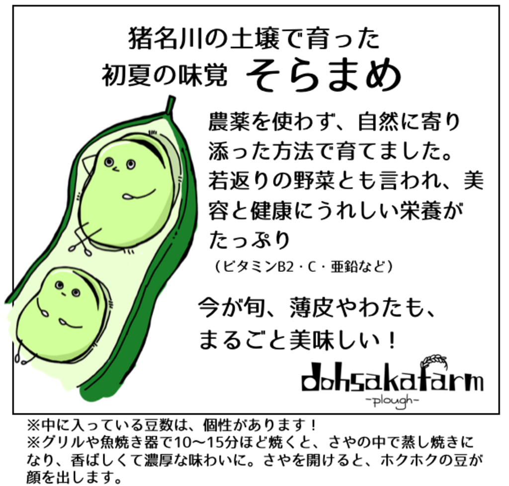 完売御礼】2025 農薬不使用 そら豆 dohsakafarm-plough- (兵庫県産