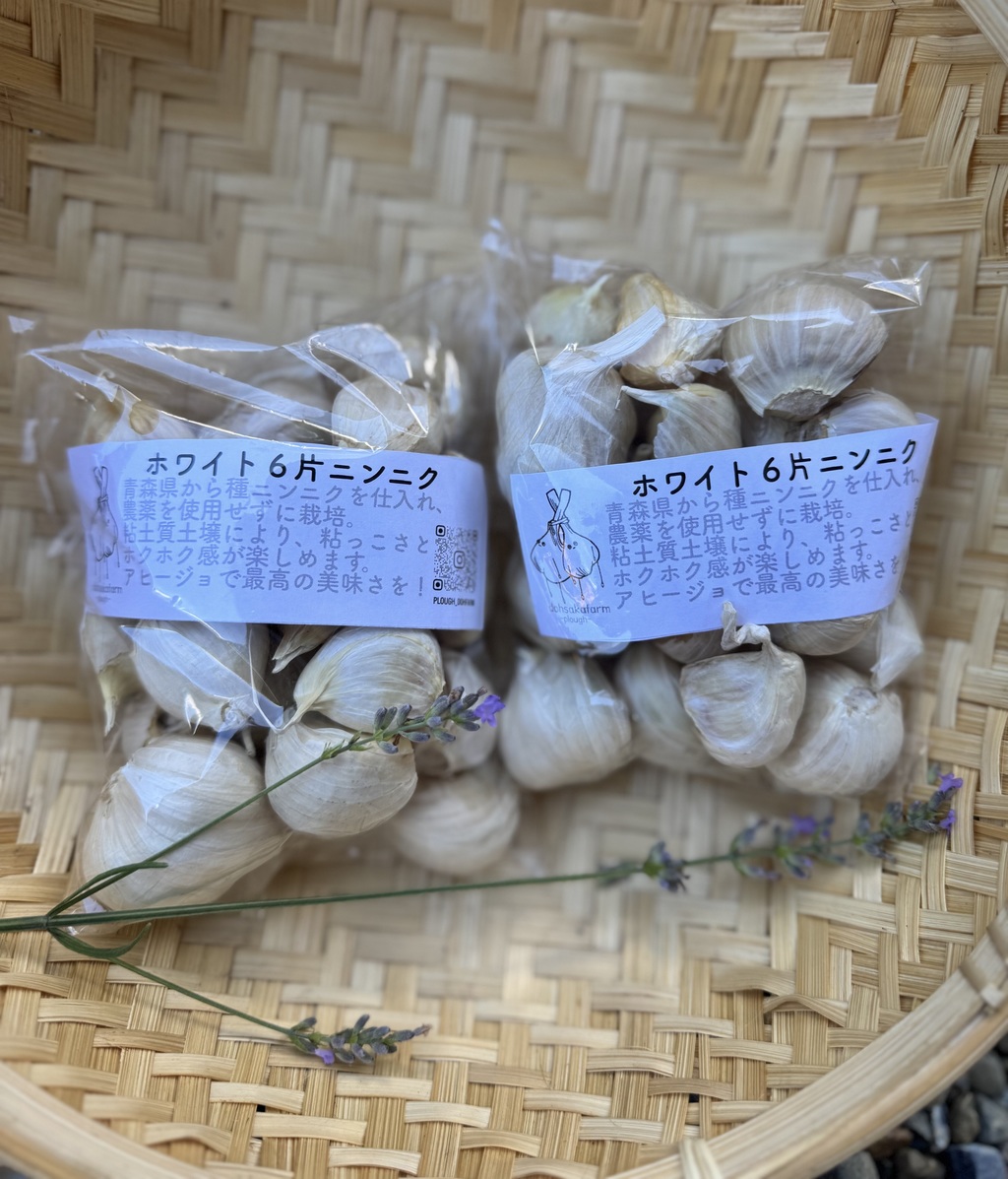 今季完売】2025 無農薬ホワイト六片 ニンニク dohsakafarm-plough
