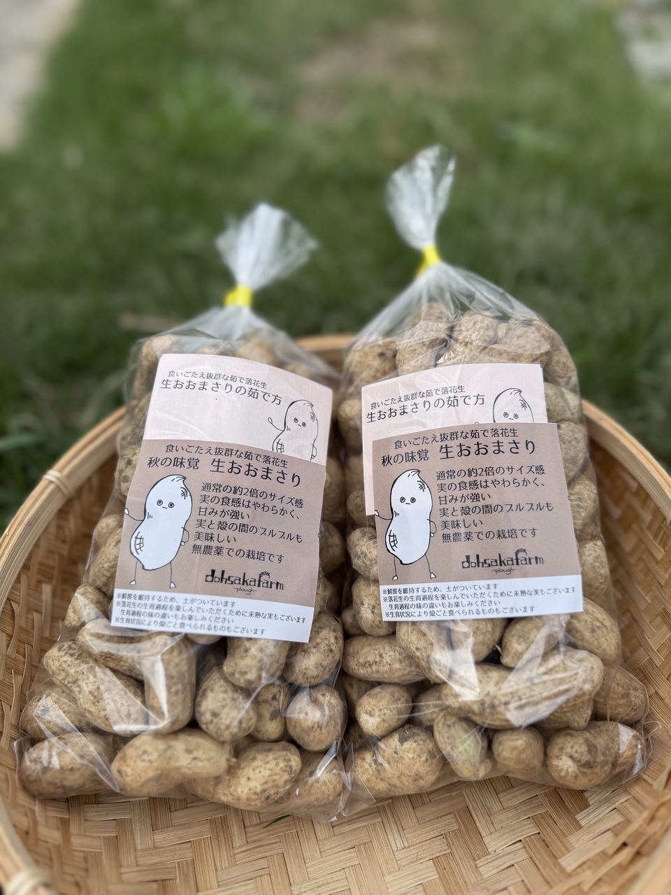 大粒生落花生 おおまさり 4kg 大粒生落花生 おおまさり 4kg おおまさりの通販・販売 | 枝豆の通販は