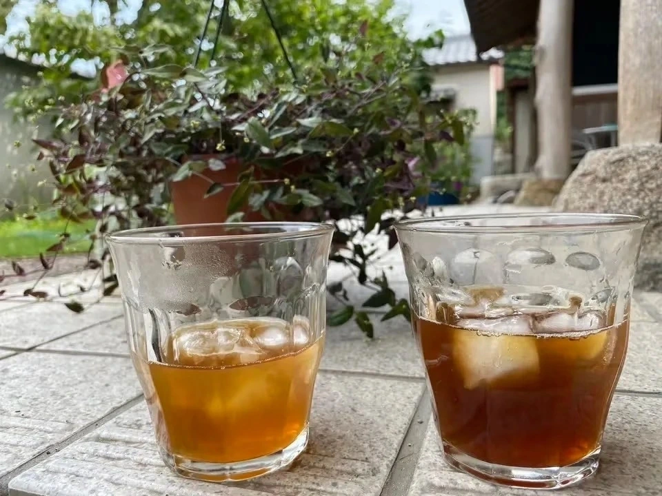 【8月16日開催】麦からつくる、夏の麦茶。dohsakafarm-plough- オンライン食育ワークショップ