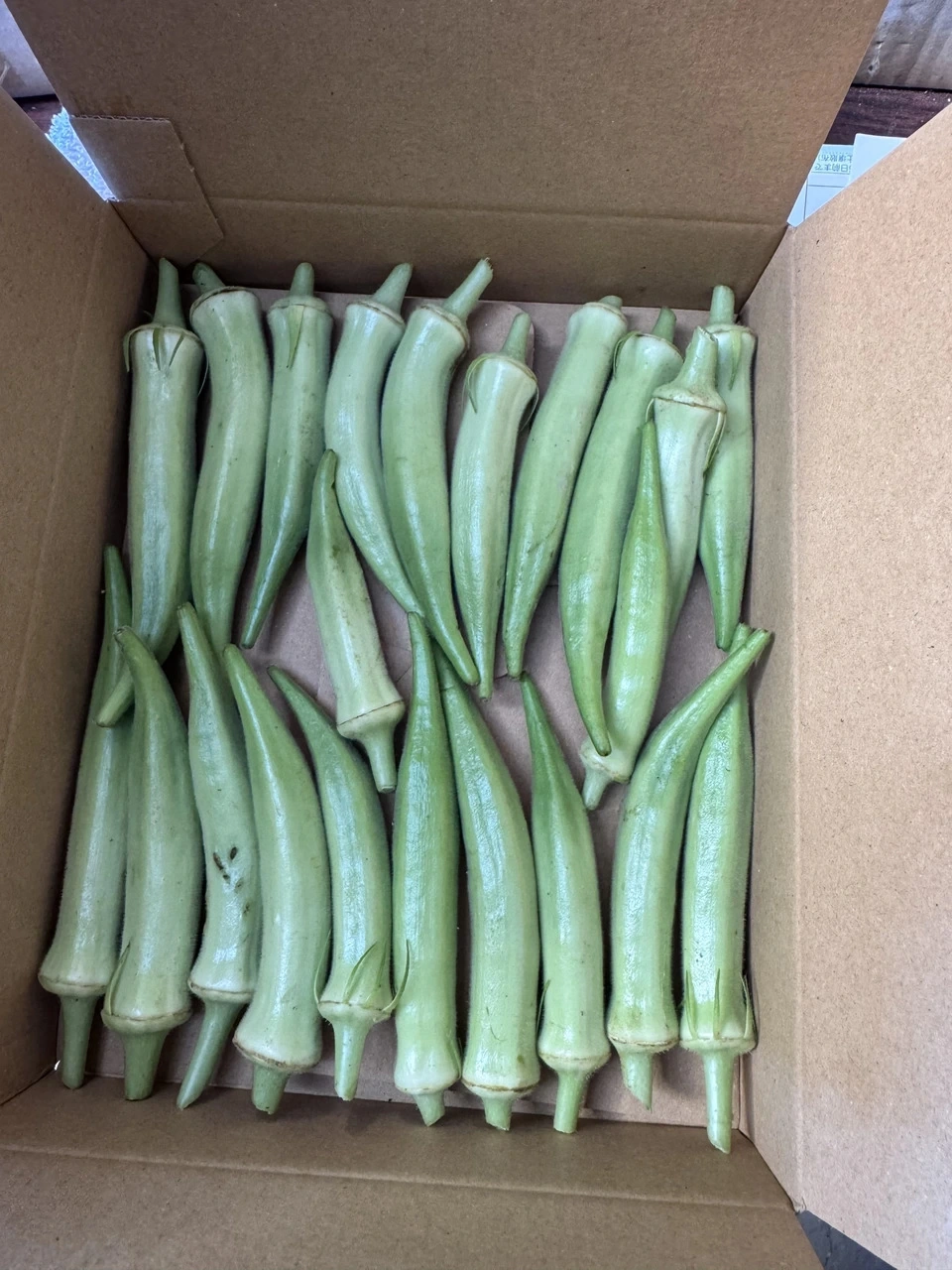 【農薬不使用】お腹を整える、夏の緑黄色野菜!生でも柔らかい「白オクラ」(専用箱でお届け)