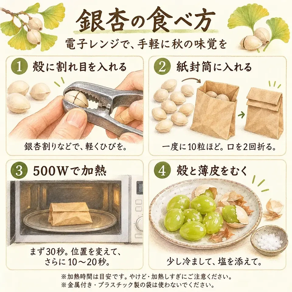【数量限定】天日干し銀杏|殻付き