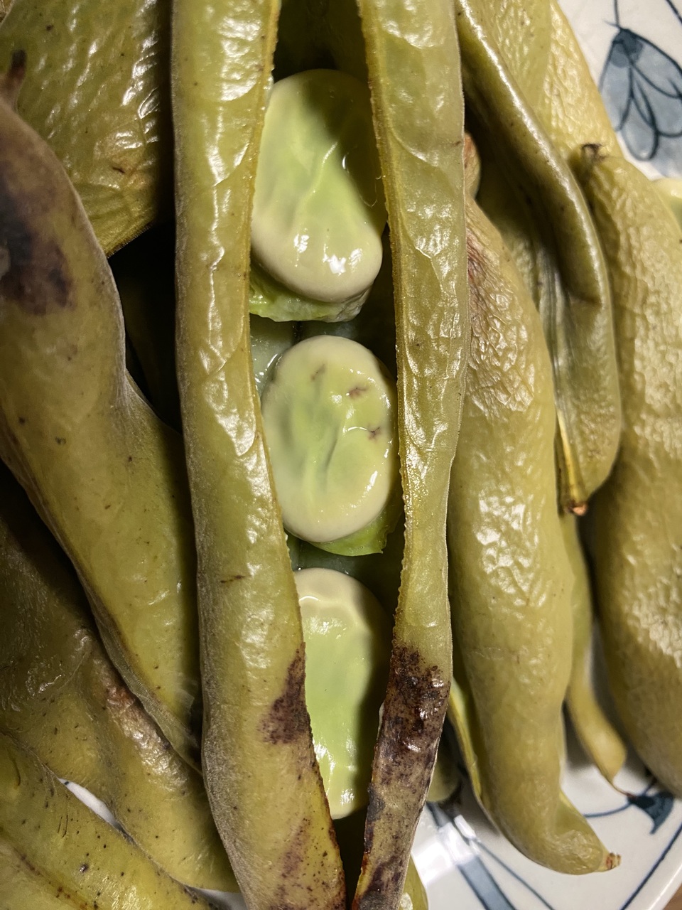 取り立て発送‼️徳島産無農薬そら豆10キロ 5月限定！旬の味！無農薬・無肥料】そら豆 ののま自然農園 (千葉