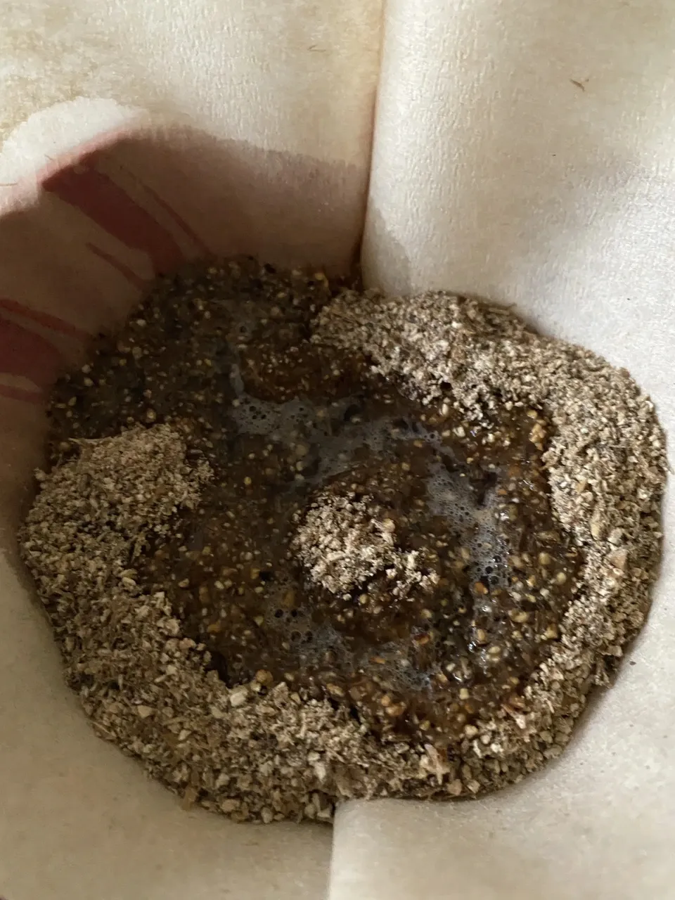 2025年度 新麦・自然栽培二条大麦＜麦茶＞ dohsakafarm-plough