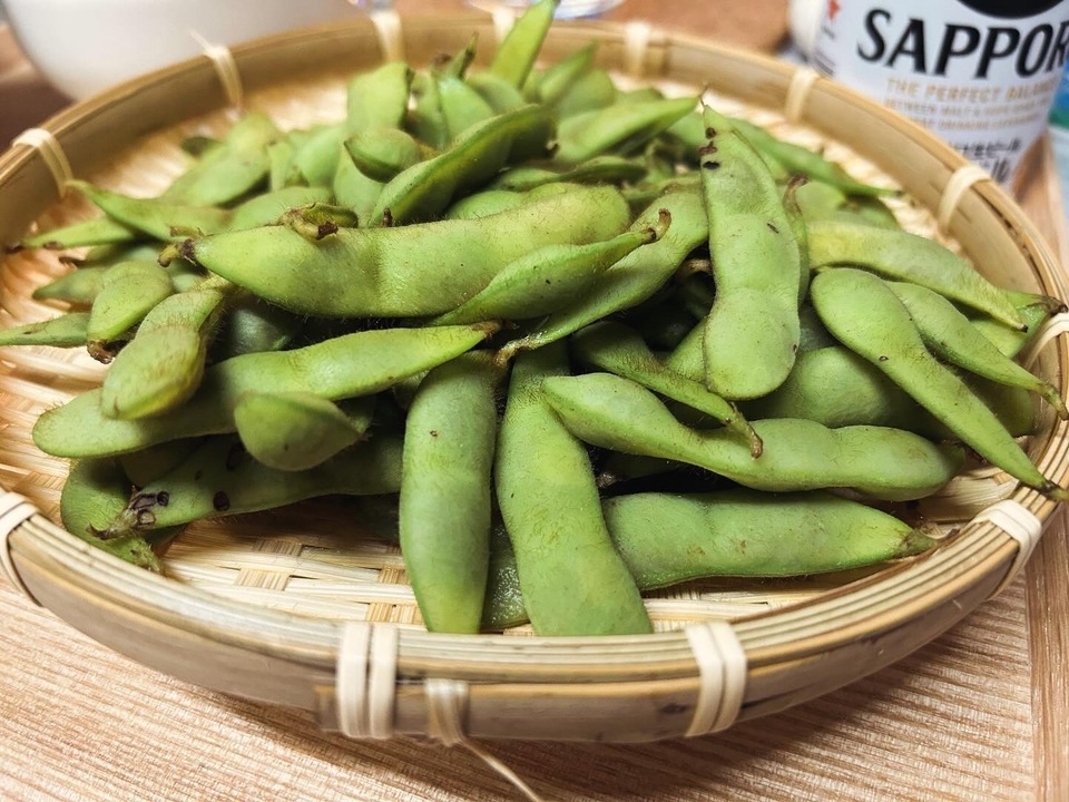 無農薬 無農薬【数量限定】早生黒枝豆 dohsakafarm-plough- (兵庫県産) 夏野菜