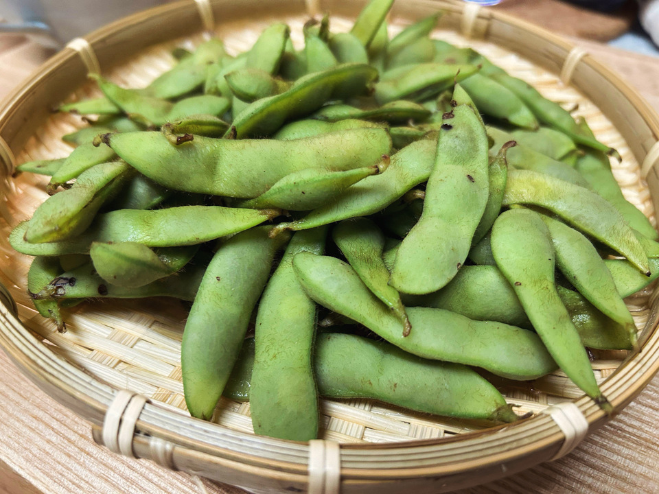 無農薬【数量限定】早生黒枝豆(2024販売終了) dohsakafarm