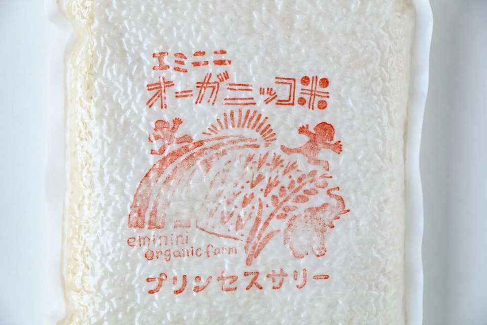 令和6年産　プリンセスサリー　玄米　10㎏　バスマティの香り　岡山県産 金沢大地《井村さんのオーガニック米 プリンセスサリー(バスマティ米