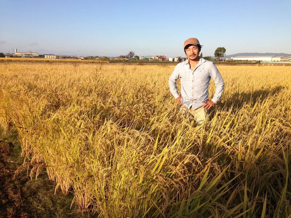 農薬不使用自家栽培米＜米の麺 KOME no MEN＞グルテンフリーで体に優しくつるっと美味しい米粉の麺（極細麺・細麺・太麺・平太麺）