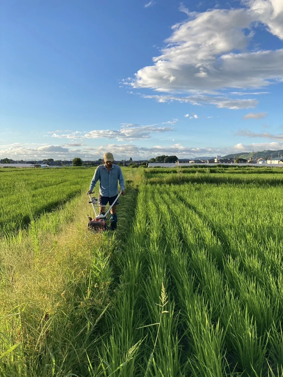農薬不使用自家栽培米＜米の麺 KOME no MEN＞グルテンフリーで体に優しくつるっと美味しい米粉の麺（極細麺・細麺・太麺・平太麺）