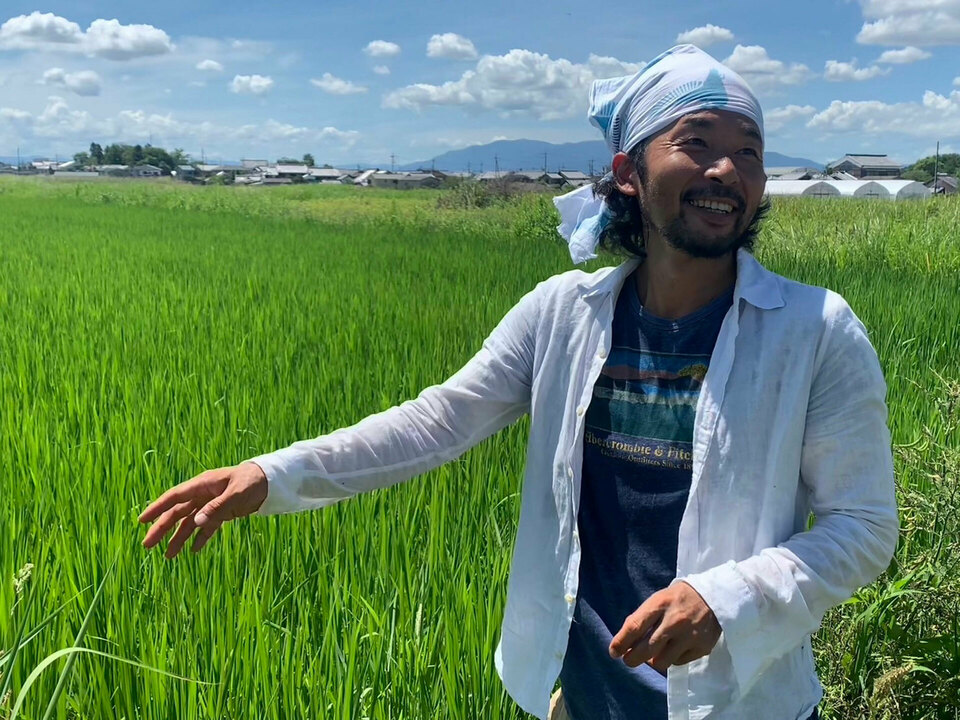 パン作りに最適＜自然栽培パン用米粉ミズホチカラ＞1袋900g・毎日気軽