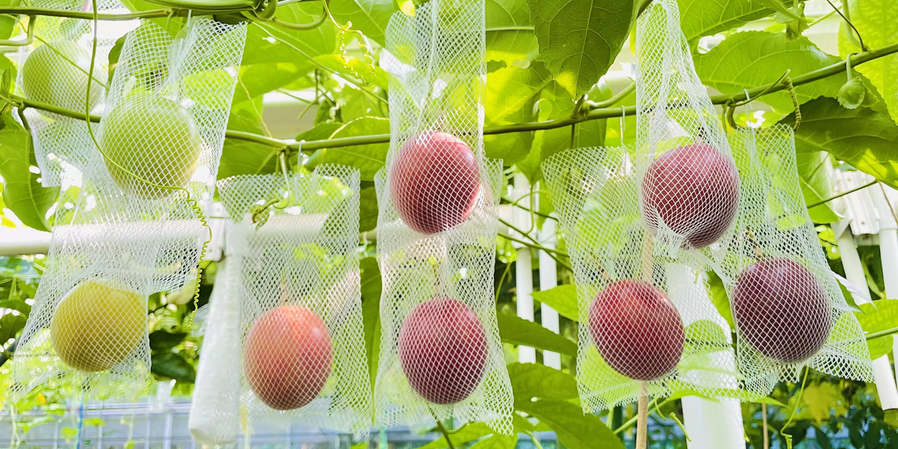 Entina Gardenロゴ