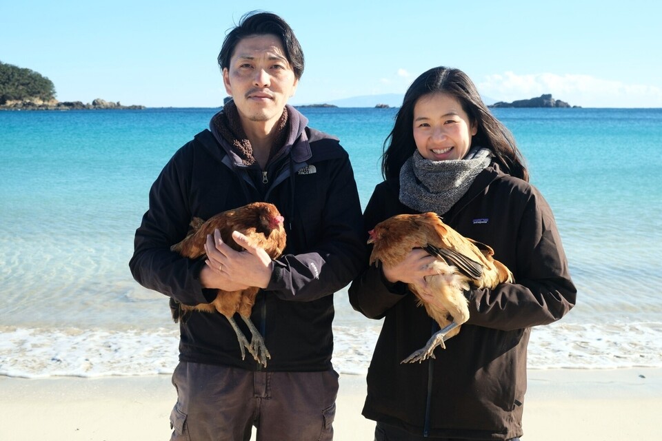 【定期購入】24時間放牧養鶏卵<アローカナの産む幸せの青い卵・下田ブルー>NHKで紹介!オメガ3が普通の4倍!