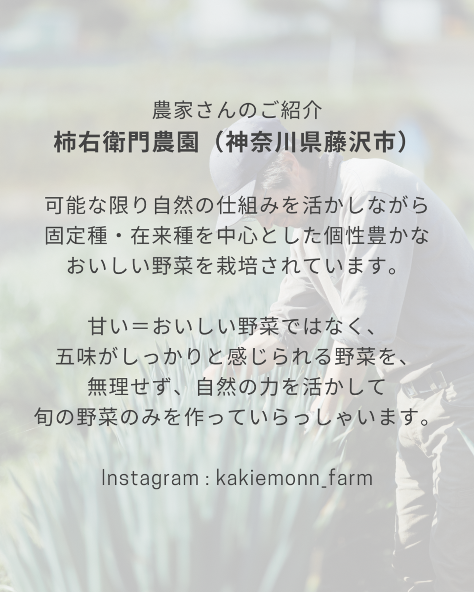 自然栽培で育ったニンジンがたっぷり＜ベジーニャ ニンジン＞