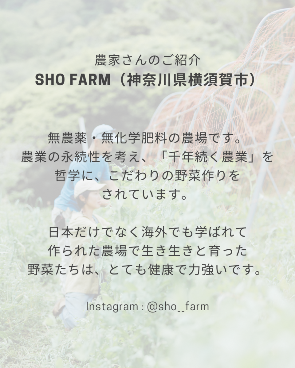 無農薬で育てられたトマトの旨みがぎゅぎゅっと詰まった＜ベジバーニャ トマト＞
