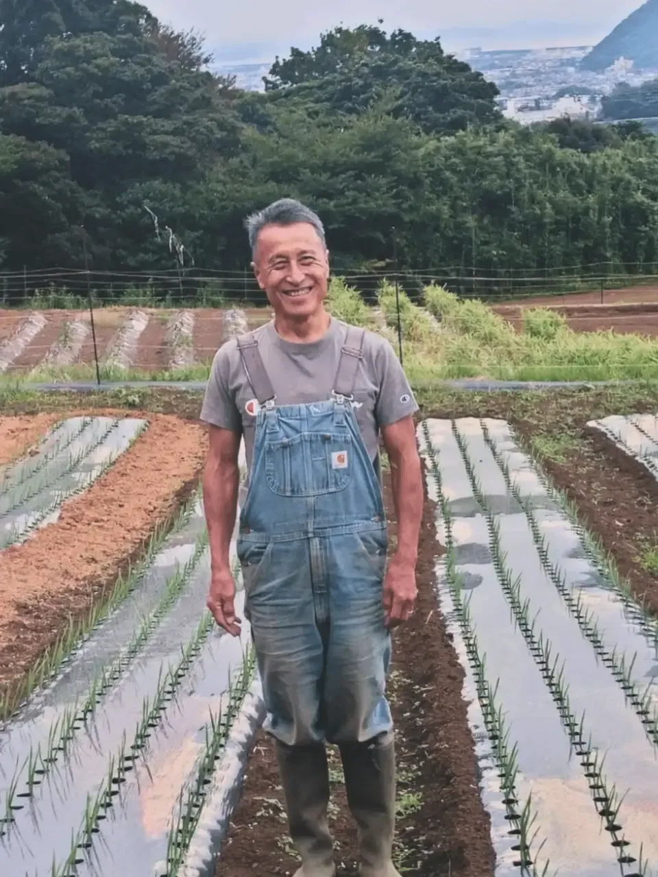 香り豊かな＜香味オイル ニンニクの芽＞もったいない野菜を美味しく変身