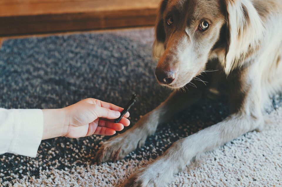 【愛犬用】(常温品)FISHDOGまぐろジャーキーシリーズ