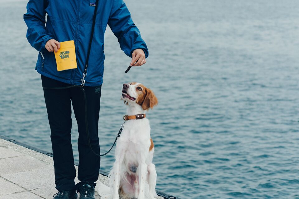 【愛犬用】(常温品)FISHDOGまぐろジャーキーシリーズ