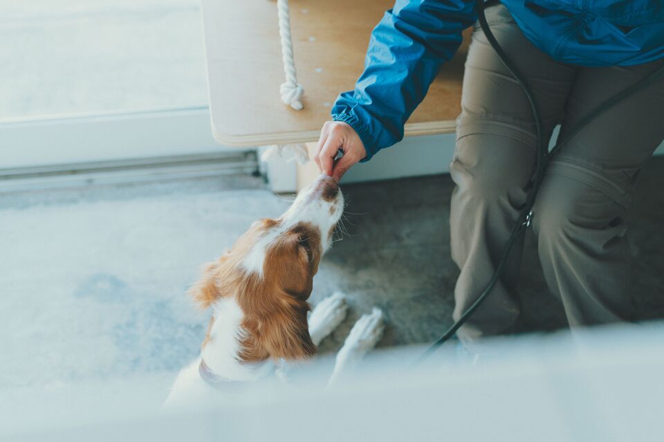【愛犬用】(常温品)FISHDOGまぐろジャーキーシリーズ