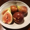 蓬莱柿
