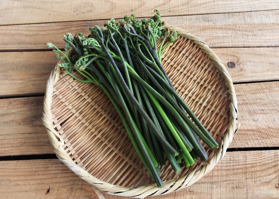 アク抜き方法付き 自然栽培のワラビ アク抜き用木灰 フェルムナチュレール コクブン 福島県産 山菜通販 たべるとくらすと