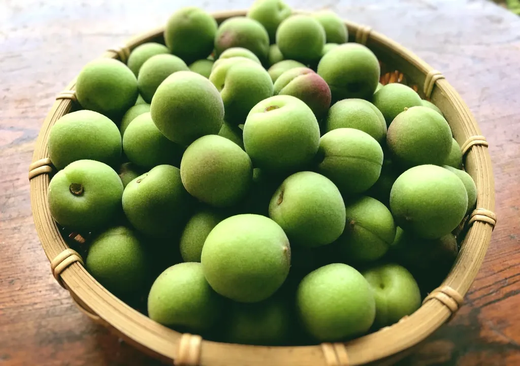 完熟小梅　限定1箱　無農薬　7㎏　5/29（木）夕方収穫 完熟小梅 限定1箱 無農薬 7㎏ 5/29（木）夕方収穫