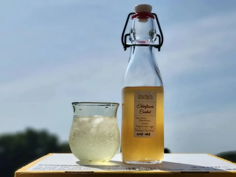 自然栽培エルダーフワラーのコーディアルシロップ