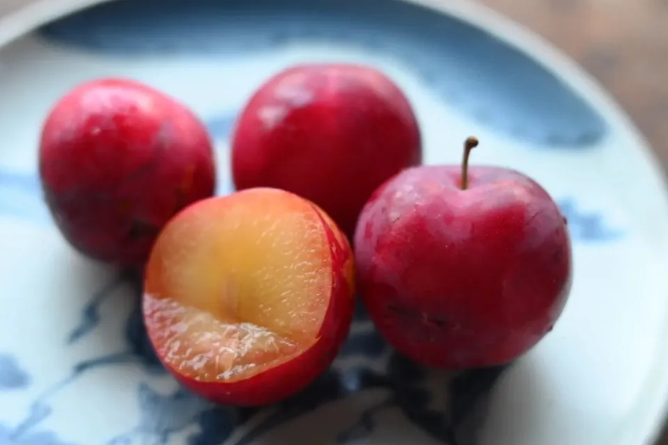 自然栽培プラム（すもも）のコンフィチュール フェルムナチュ