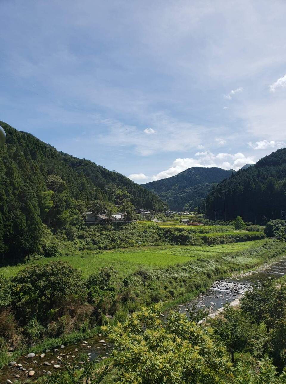 米みそ　自然　落折　自然栽培×天然麹菌(野生麹菌)