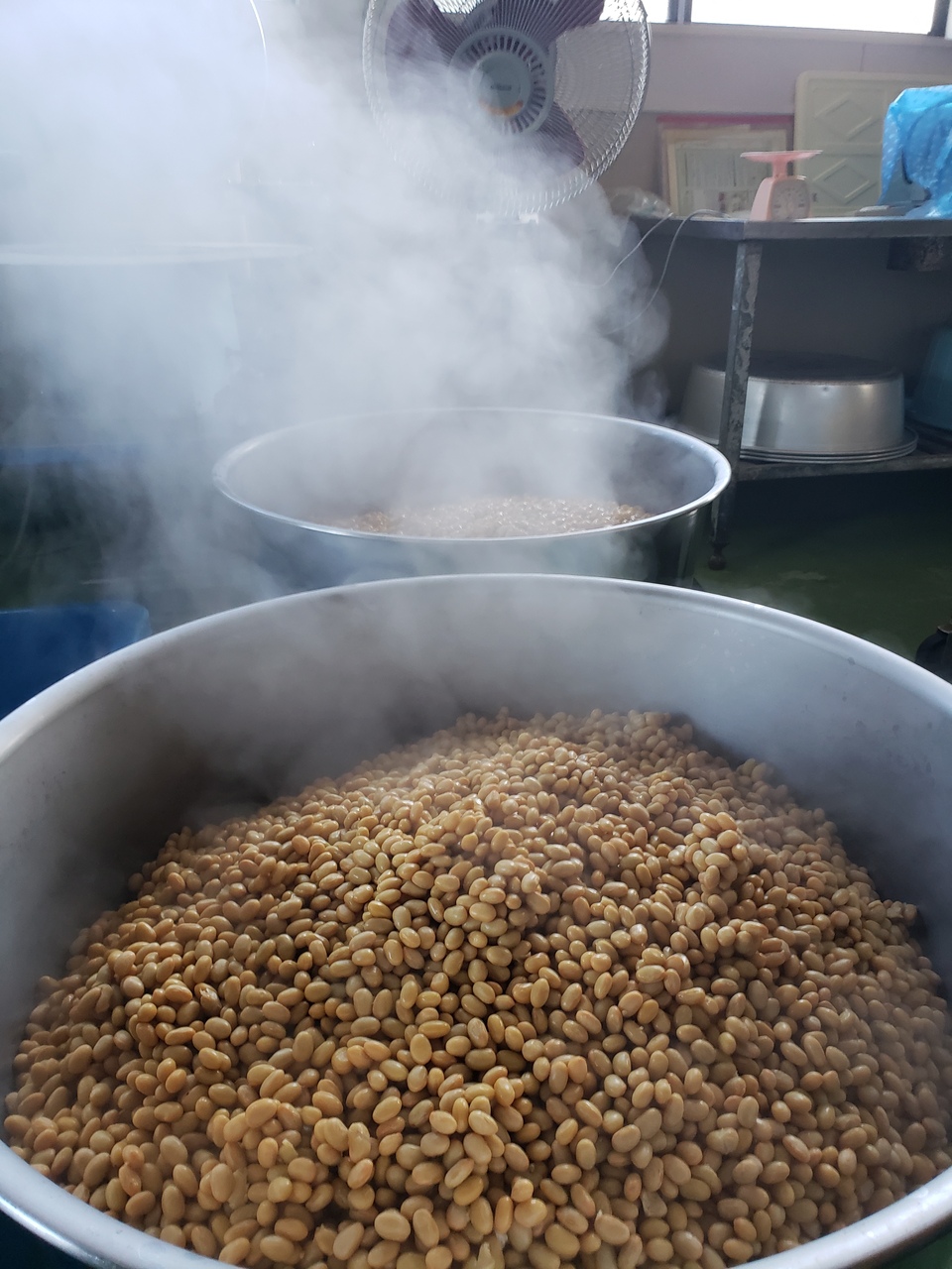 豆麹　自然栽培大豆×野生麹菌