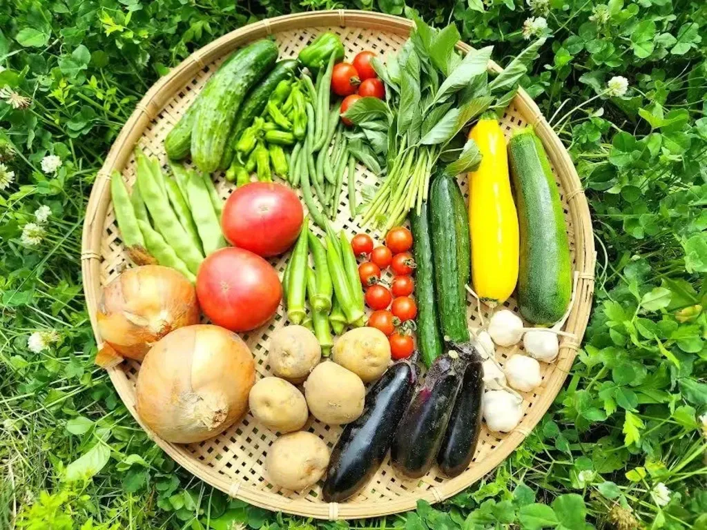 野菜セット 猛暑で野菜の生育が悪く量が揃わない _1024_250628024226.webp