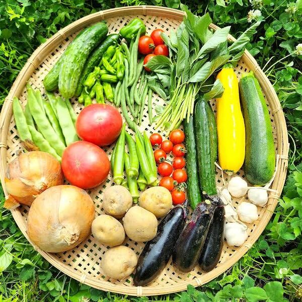 totomon様野菜セット totomon様 野菜セット 果物追加 木なり完熟トマト3 - メルカリ