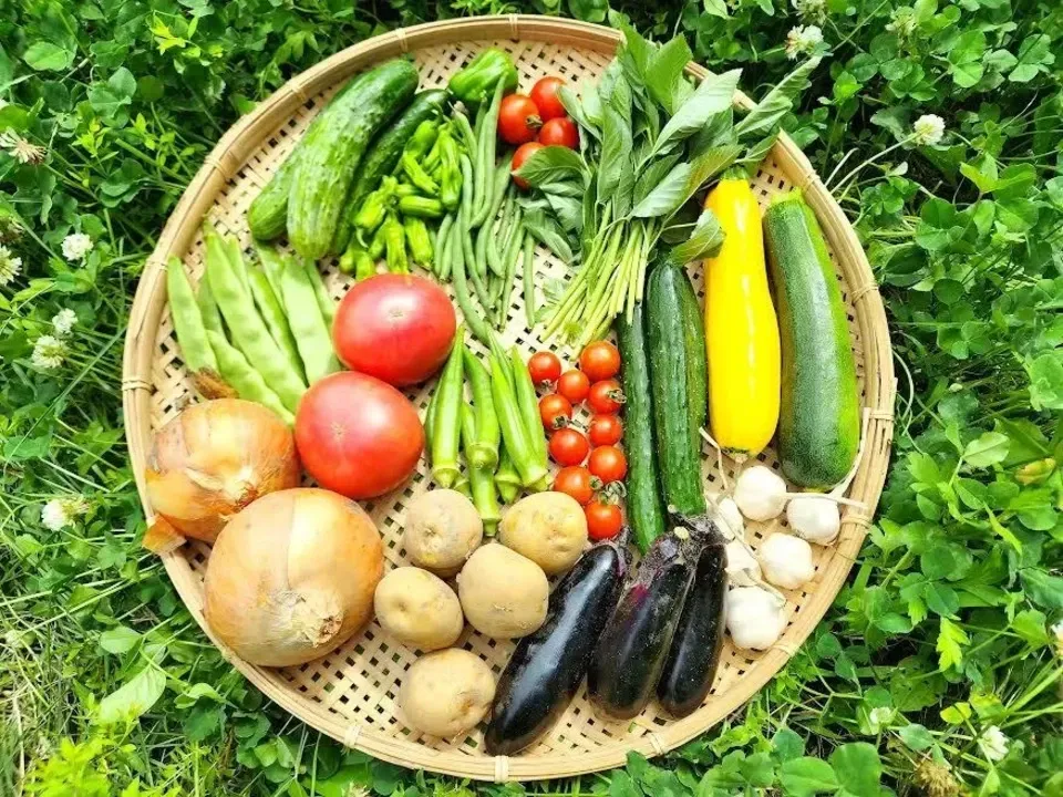 味の福袋　産直無農薬野菜、フルーツセット 送料無料！【有機野菜と特別野菜と果物のセット】旬の野菜 8品