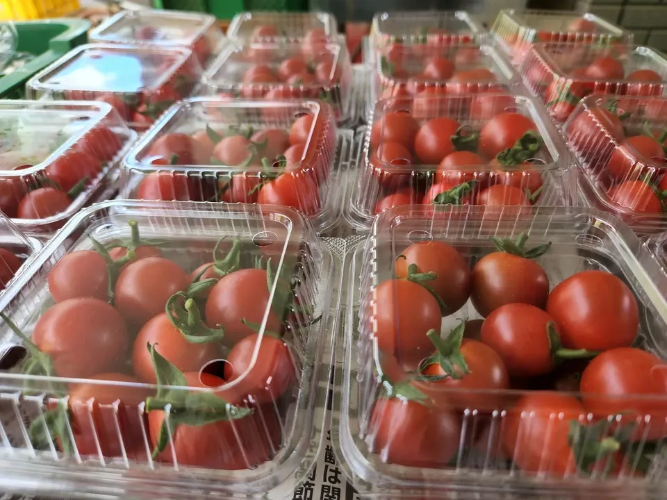 無農薬無化学肥料 旬の野菜セット（現在は夏野菜セット♪） ふる