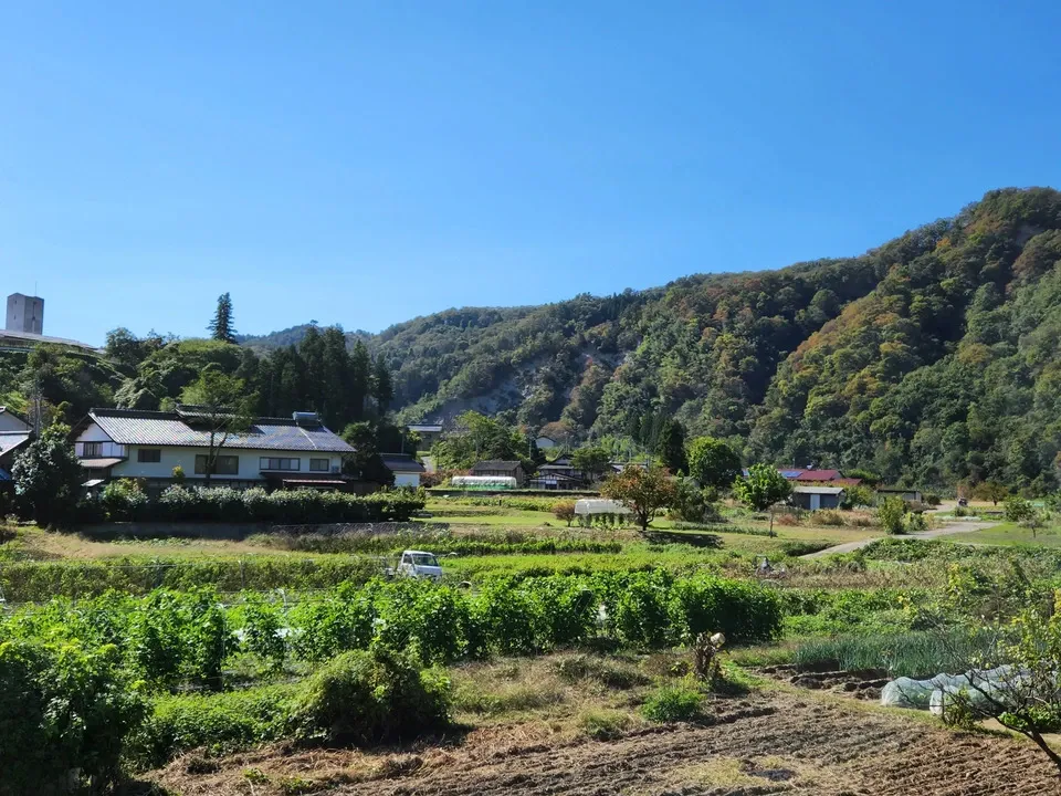 信州の朝霧と寒暖差が育てた　とれたて旬の野菜セット【農薬・化学肥料不使用】（現在は夏野菜セット♪）
