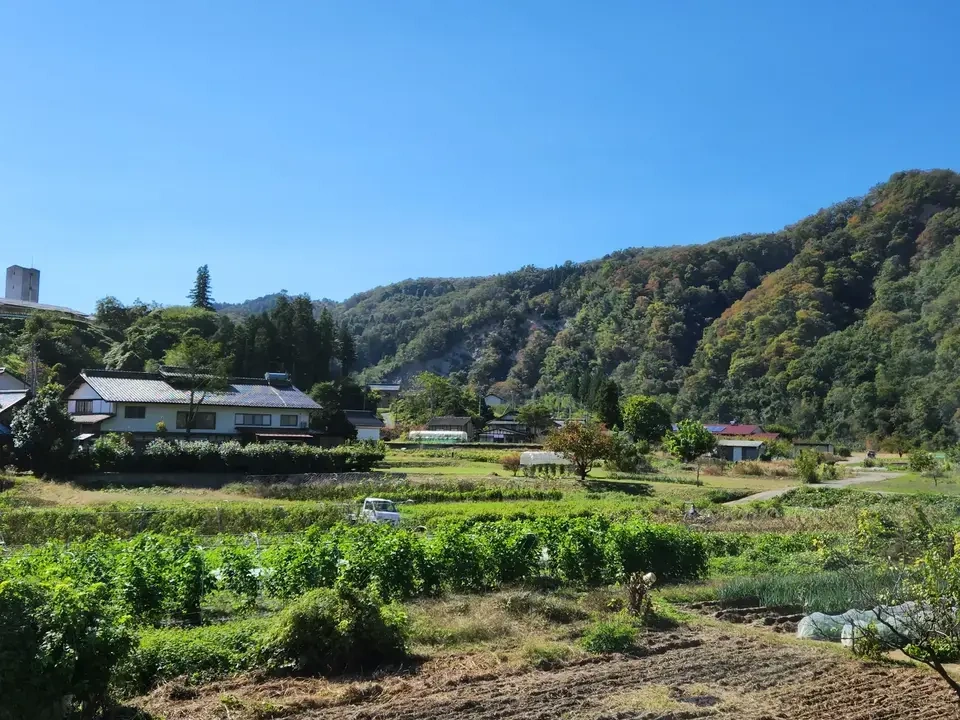 【お中元・夏ギフト】信州の朝霧と寒暖差が育てた 朝採れ旬野菜セット(熨斗対応可)〈農薬・化学肥料不使用〉