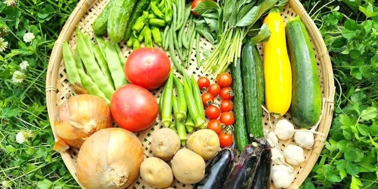 信州の朝霧と寒暖差が育てた とれたて旬の野菜セット【農薬・化学肥料